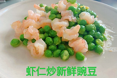 Ϻʳ㶹