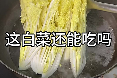 ̰ײ